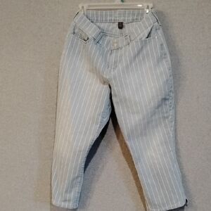 Gloria Vanderbilt Blue and White Striped Pants